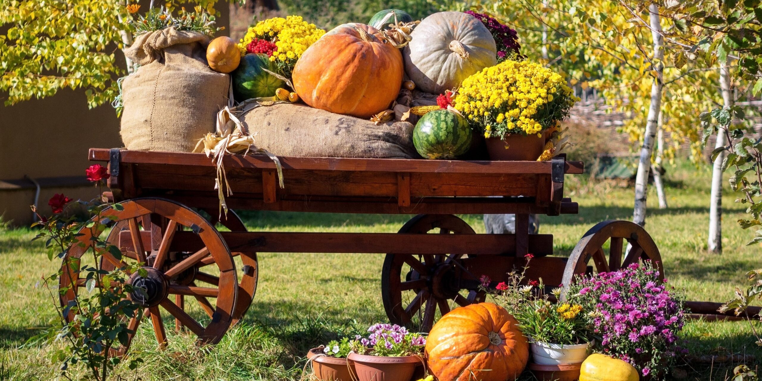 Festival de calabazas en Estados Unidos