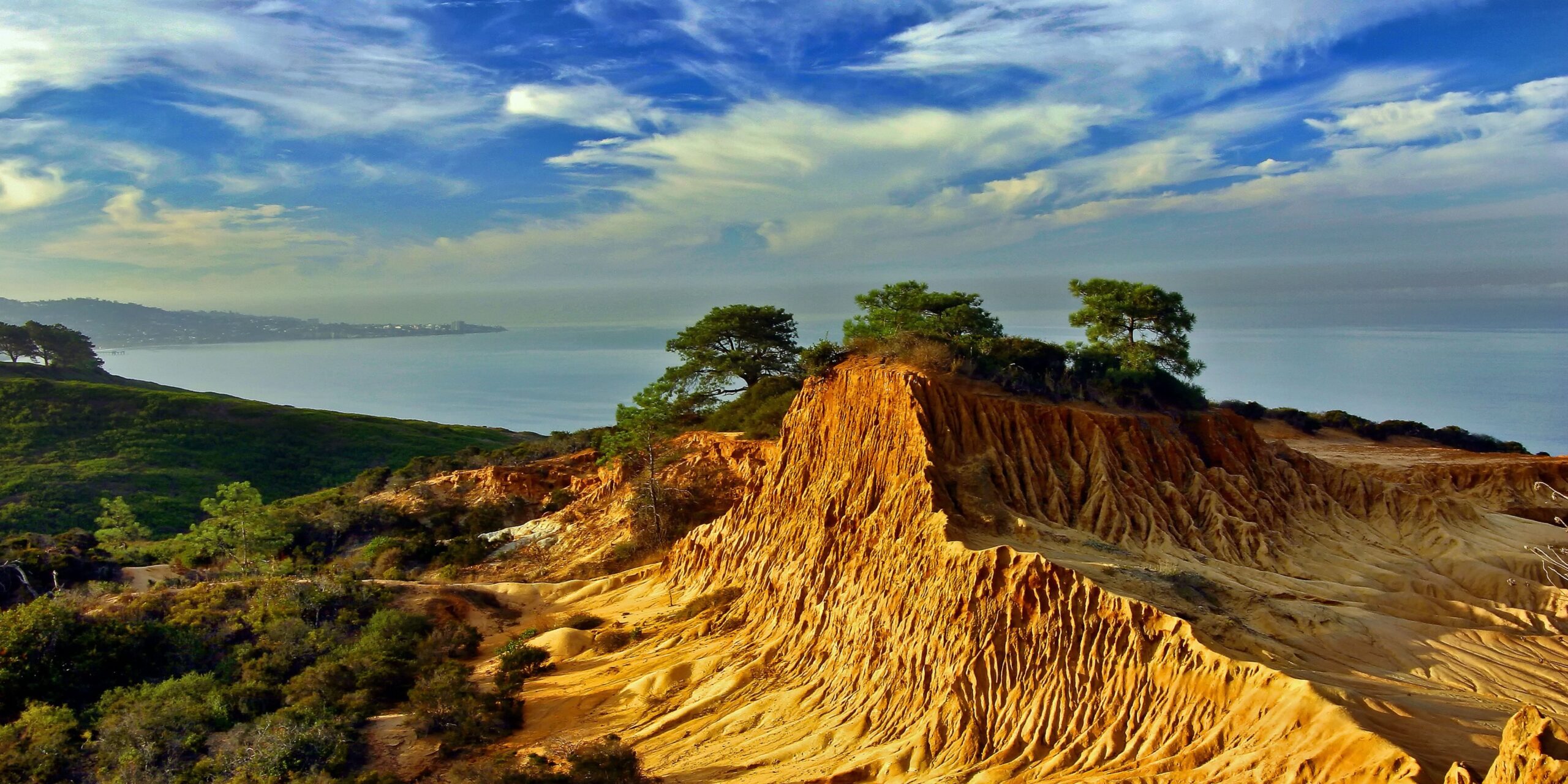 Torrey Pines, San Diego